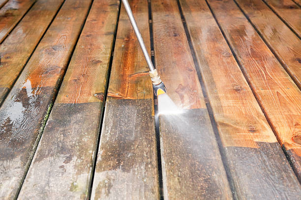 Animal Enclosure Cleaning in Granger, TX